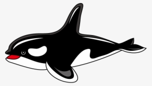 Orca Clipart Transparent - Killer Whale Clipart Png