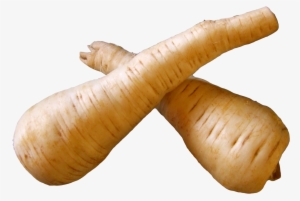Fresh Parsnip Root Png Free Images Toppng - Parsnip Png