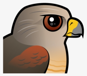 About The Red-shouldered Hawk - Hawk Cute Cartoon Png