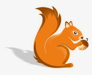 Squirrel - Fox Squirrel