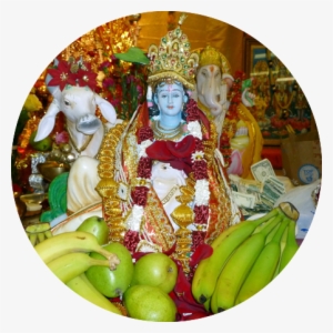 Service-bg - Portfolio