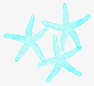 Small - Turquoise Starfish Clipart