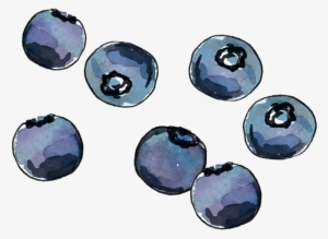 Blueberry June2018 Lyndsay - Portable Network Graphics