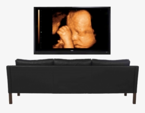 Couch - Entertainment Center