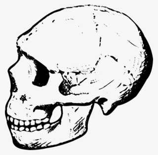 Free Images Of Skulls - Skull Clip Art