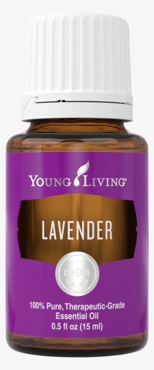 Lavender Essential Oil Uses - Young Living Sacred Frankincense Essential Oil 15 Ml