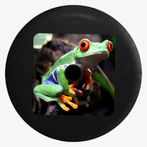 Jeep Wrangler Jl Backup Camera Bug Eyed Tree Frog Green