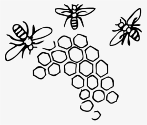 Raw-honey