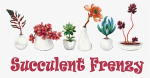 Welcome To Succulent Frenzy Online Store Welcome To