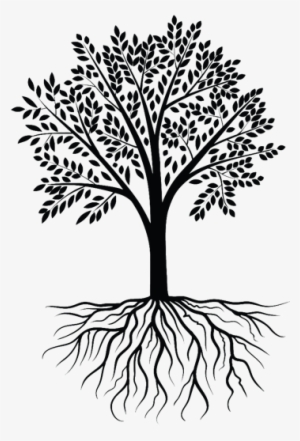 Clipart Transparent Clip Art Clipart Transprent Png - Transparent Tree With Roots