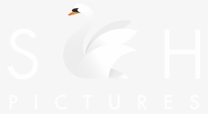 Shivhans Pictures - Goose