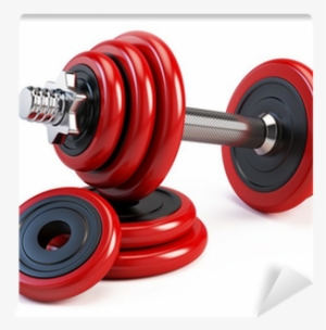 City Gyms: When Passion And Jealousy Collide ... Anything