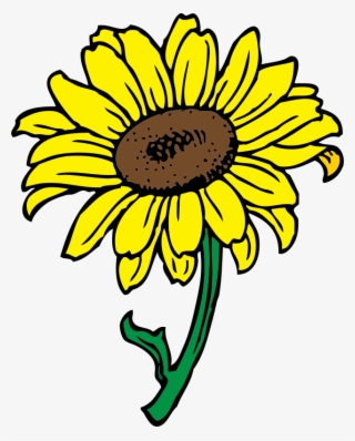 Sunflower Svg Clip Arts 480 X 599 Px