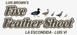 Five Feathers - Duck