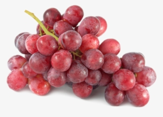Rna Seq Reveals How Fungus Reprograms Wine Grapes To - Red Grapes
