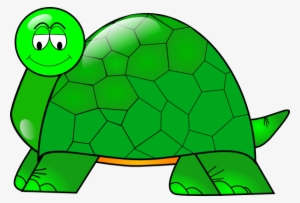 Turtle Png