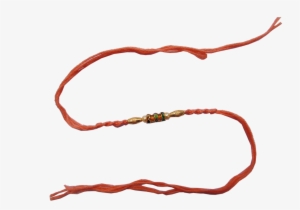 Colourful Thread Rakhi - Pet An Animal