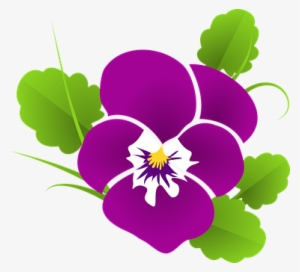 Pansy Violet Viola Violaceae Blossom Bloom - Violet Clip Art