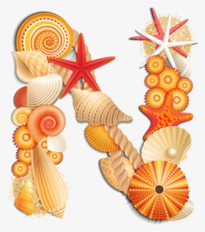 Alpha Orange Png Album - Alphabet Seashells Png