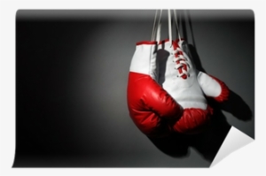 Png - Boxing Gloves Shower Curtain