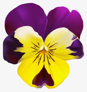 Purple And Yellow Flower Png