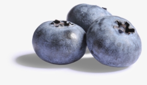 Blueberries Png Clipart - Blueberries With No Background