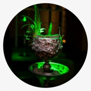 Pineapple Hookah Head