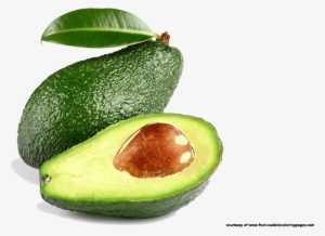 Avocado Tree Clipart Black And White Techflourish Collections - Clipart Avocado Png Avocado