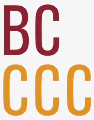 Boston College Center For Corporate Citizenship Logo