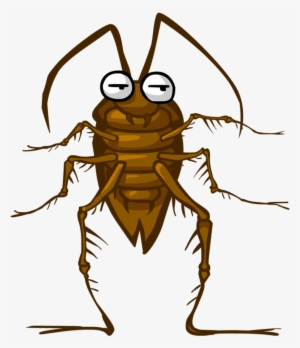 Roach Standing Up Png