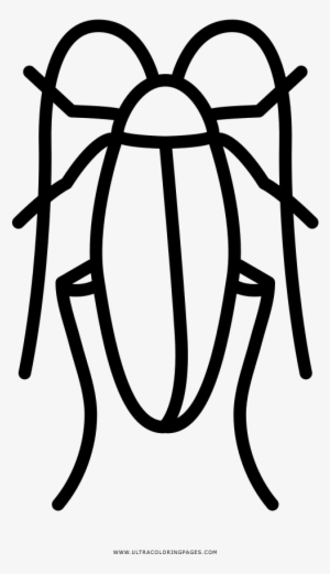 Cucaracha Página Para Colorear - Dibujos Para Colorear De Un Cucaracha