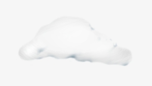 Dotace Na Kotle - Photography