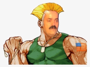 Lien Direct, 2017/50/1/1513017609 Risiguile V4 - Guile Street Fighter 2 Art