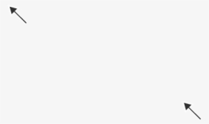 Calf With 6 Legs Continued - Perching Bird