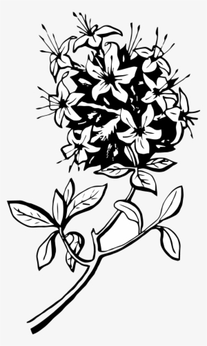 Clip Art