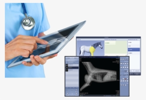 Healthcare And Technology Today: A Guide For Providers