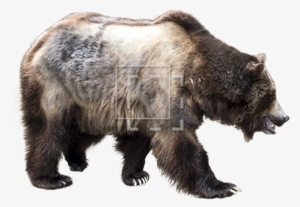 Parent Category - Grizzly Industrial, Inc.