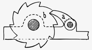 [ Img] - Muller's Ratchet