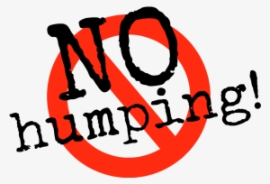 To Pee, Or Not To Pee - Curating The Good: Collecting And Displaying Evidence