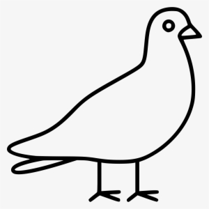 Dove Comments - .net