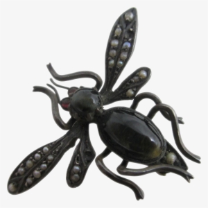 Cats Eye Seed Pearl Sterling Silver Bug Brooch Pin - Longhorn Beetle