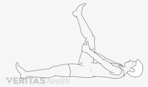 Hamstring Stretch - Lower Limb Stretches