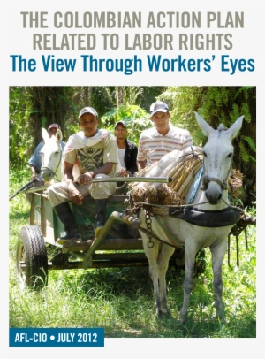 Thumbnail - Representation Project