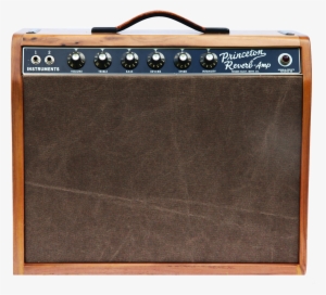 The Tinman Amplifier - Amplifier