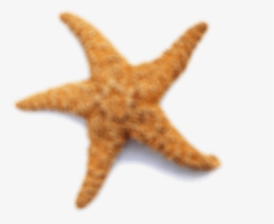 Star-blurred - Clip Art