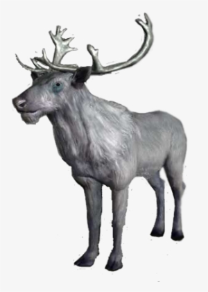 Whitestag - White Stag