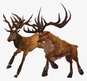 World Of Warcraft Deer