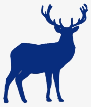 Forest Life - Reindeer Coloring For Adult