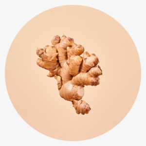 Misfit Ginger Still Circle@2x - Misfit