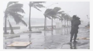 In The Eye Of The Storm - People Running From A Hurricane